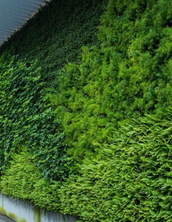 Greenleaf Living Wall 4 Large